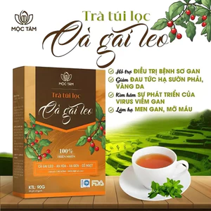 Trà Cà Gai Leo An Xoa Mộc Tâm – Hương Thảo Mộc Cho Ngày Thư Thái