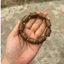 Vòng Tay Trầm Hương Trúc Trụ 12mm Bình An - Trầm Tốc Kiến Quảng Nam Cao Cấp Cho Nam Nữ (9 Trụ 9 Hạt)