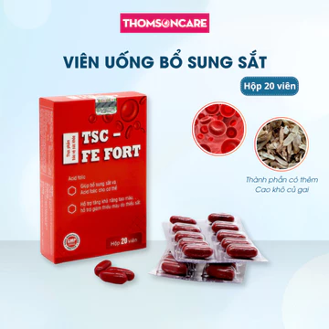 Bổ máu TSC Fe Fort - bổ sung Sắt, Acid Folic từ cao khô củ gai cho người thiếu máu do thiếu sắt - Hộp 20 viên