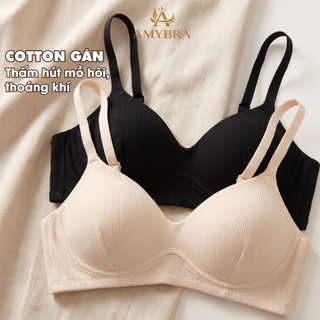 Combo Áo Ngực Không Gọng Mút Mỏng Cotton Thoáng Mát - Set Áo Lót Nữ Form Ôm Mềm Mại AMYBRA A409