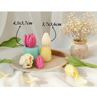 Set 2 khuôn silicon hoa tulip T3