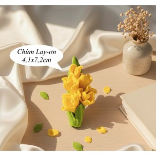 Khuôn silicon Chùm Lay-ơn