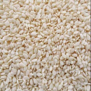 10KG Mè Trắng (Vừng Trắng) Nguyên Hạt Loại 1 Sạch Vỏ Nấu Chè, Làm Bánh, Sữa Hạt Đầy Đủ Dinh Dưỡng me trắng giá sỉ