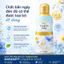 Nước Giặt Đồ Lót Lingerie Soap Kobayashi Nhật Bản 120ML Diệt Vi Khuẩn Giảm Nấm Ngứa An Toàn Cho Da