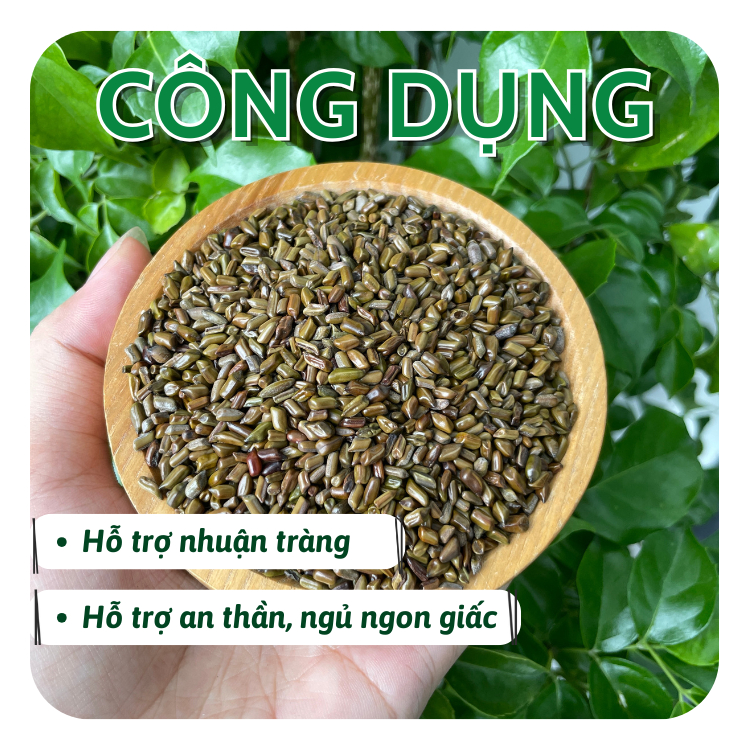 Trà Hạt Muồng Sấy khô -  Thảo Quyết Minh - Hỗ Trợ Nhuận Tràng, Mất Ngủ, Ngủ Sâu Giấc,Thông Tiểu
