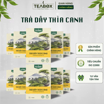[COMBO 10 HỘP] Trà Dây Thìa Canh Tốt Cho Người Tiểu Đường Giảm Đường Huyết | 30 Túi Lọc x 3g TEABOX