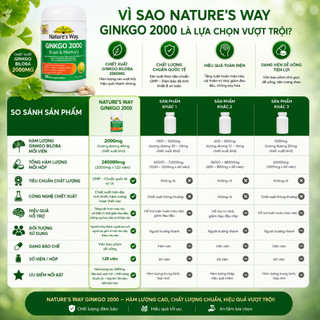 Viên uống tăng cường trí nhớ Nature's Way Ginkgo 2000mg giảm trí nhớ, rối loạn tiền đình, alzhmeimer