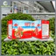 Thanh Cua Surimi Yo Hot Việt Nam Sản Xuất Thơm cay, Reecen