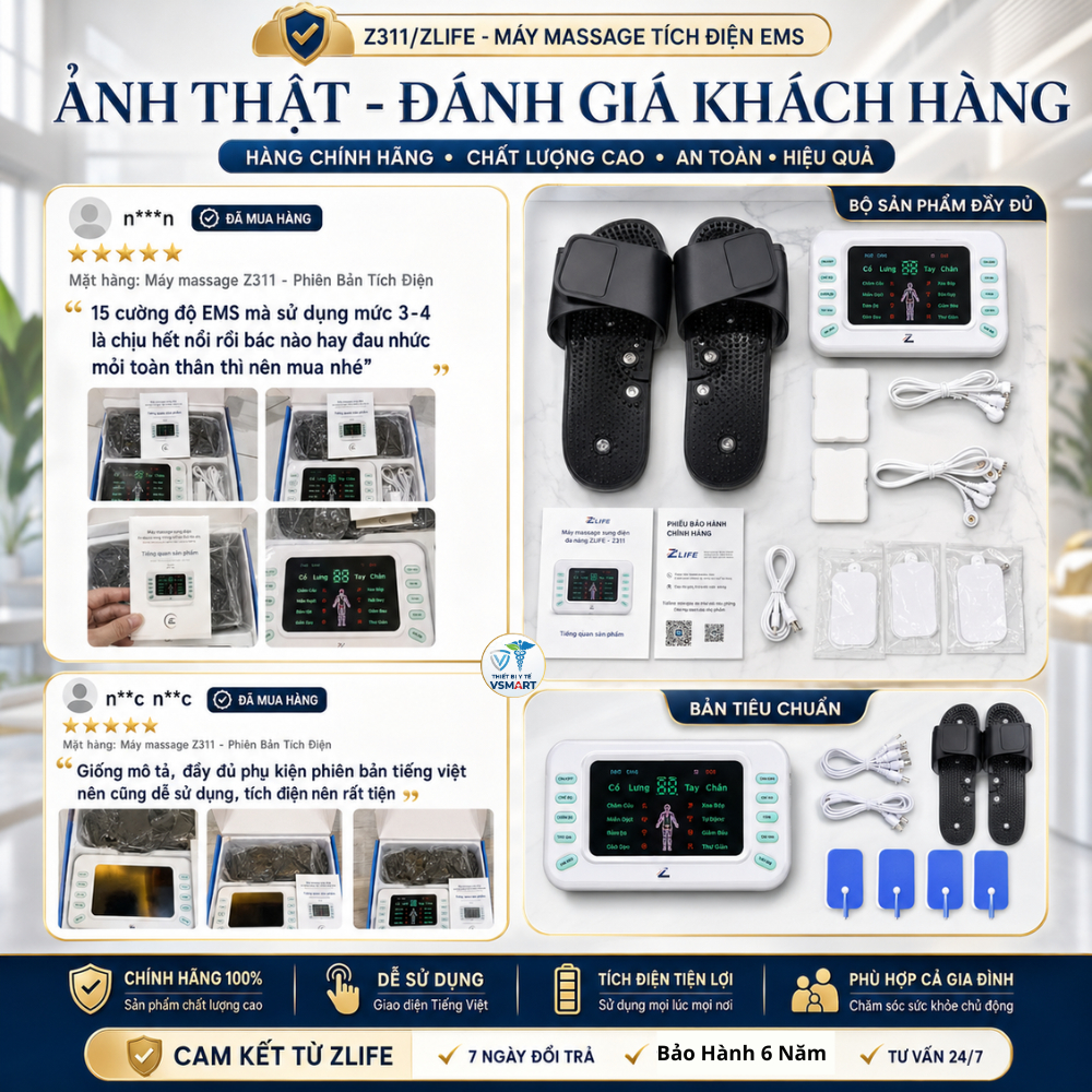 Máy Massage Xung Điện Trị Liệu Vật Lí, Máy Mát Xa Châm Cứu Tiếng Việt Z311 Giảm Nhức Mỏi Toàn Thân