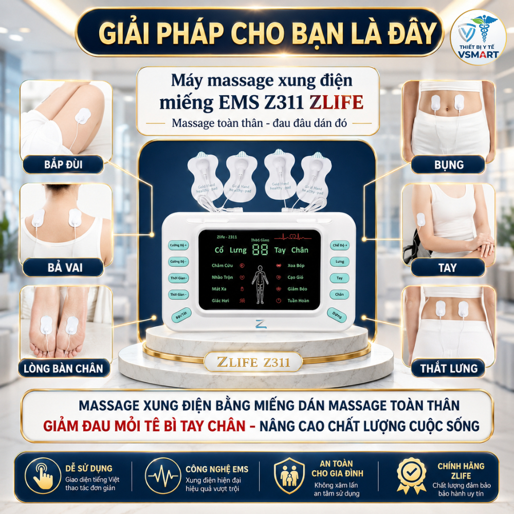 Máy Massage Xung Điện Trị Liệu Vật Lí, Máy Mát Xa Châm Cứu Tiếng Việt Z311 Giảm Nhức Mỏi Toàn Thân
