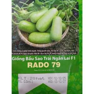 Gói 20 Hạt Giống Bầu Sao Trái Ngắn, Rau Ăn Quả Rạng Đông Rado 79, Hạt Mới Nảy Mầm Nhanh, Mạnh