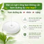 Toner Kiềm Dầu Mụn Naruko Tea Tree Shine Control and Blemish Clear Toner 150 ml
