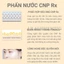 Phấn nước tinh chất keo ong CNP Rx Miracle Ampoule In Cushion – AB AUTHENTIC