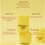 Dưỡng môi CNP Propolis Lipcerin / Multi Ampule Balm