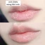 Dưỡng môi CNP Propolis Lipcerin / Multi Ampule Balm