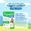 TPBVSK Pregnacare Max cung cấp vitamin và khoáng chất cho phụ nữ mang thai (84 viên)