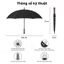 Ô dù cán dài cao cấp PG27 Palermo Umbrella - Ngăn 99% UV, chống thấm nước, chống gió lật cấp 7