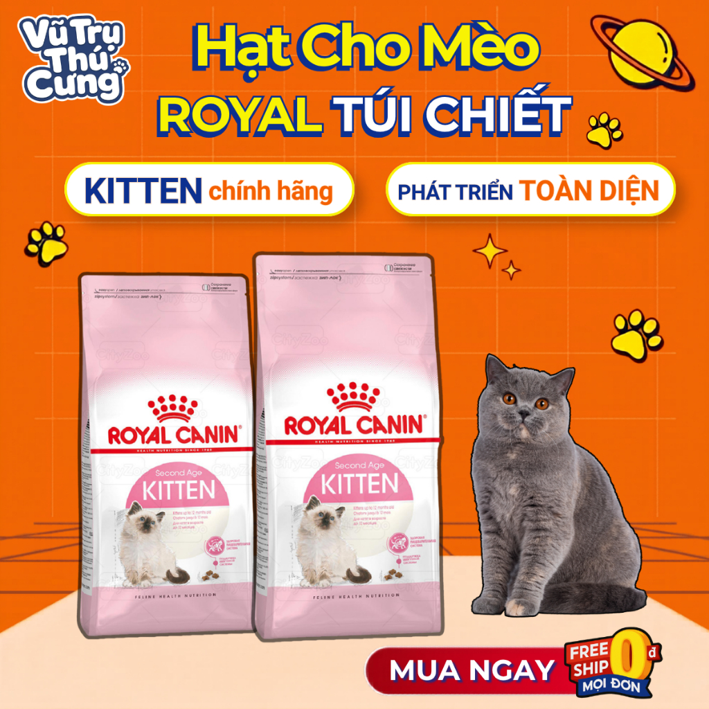 (Túi chiết) Thức Ăn Hạt Royal Canin Kitten Cho Mèo Con