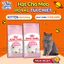 Thức Ăn Hạt Royal Canin Kitten Cho Mèo Con