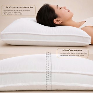 Ruột Gối Nằm Kháng Khuẩn NIN House Êm Ái | 50x70cm | Ruột Gối Siêu Mềm Mại, Hỗ Trợ Giảm Đau Cổ, Đau Vai Gáy