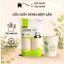 Set 50 cốc giấy dùng 1 lần hình gấu trúc chịu nhiệt, Ly giấy tự phân hủy 235ml thân thiện môi trường