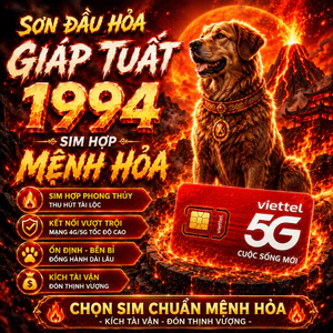 Sim Phong Thủy Hợp Tuổi 1994 Giáp Tuất Mệnh Sơn Đầu Hỏa Tăng Động Lực Phát Triển Và Tài Lộc