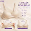 Áo Lót Nâng Ngực Tự Nhiên Không Gọng An Toàn Lành Tính, Đệm 1.5cm Nâng Nhẹ V1 Không Bị Cộm Bí Bách BRA8107