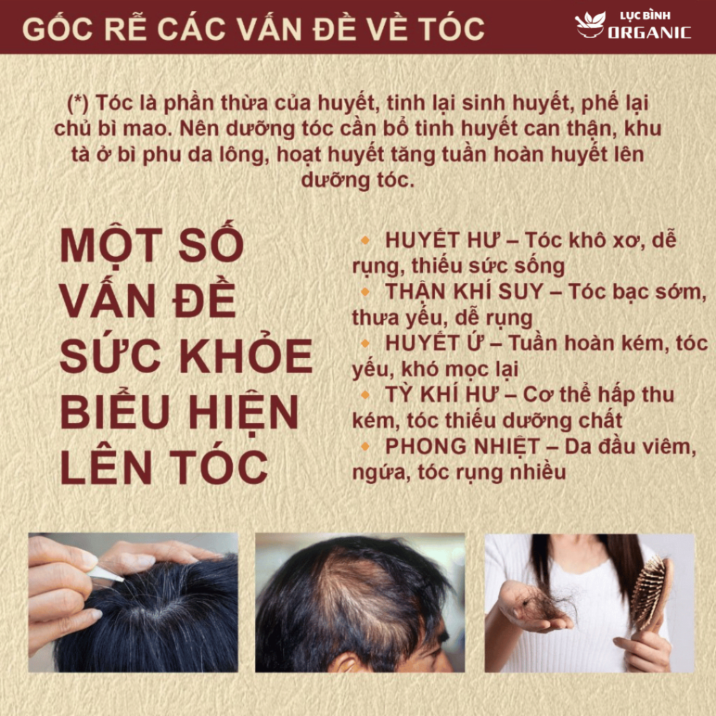 Trà Mộc Xuân Thảo Mộc Organic Dưỡng Tóc Từ Bên Trong - Nuôi Dưỡng cho tóc yếu, dễ gãy, bạc