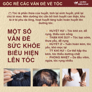 Trà Mộc Xuân Dưỡng Tóc - Lục Bình Organic - Dưỡng Tóc Từ Bên Trong - Nuôi Dưỡng cho tóc yếu, dễ gãy, bạc