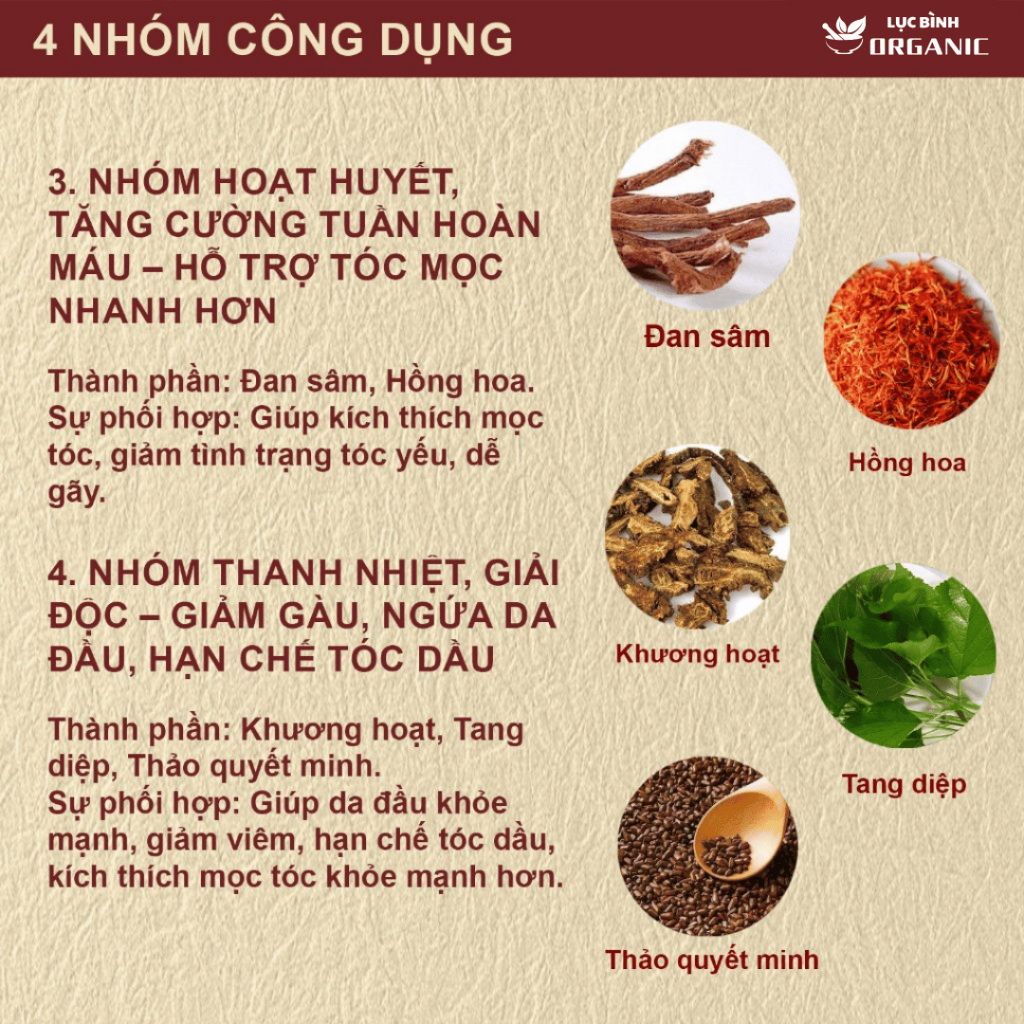 Trà Mộc Xuân Thảo Mộc Organic Dưỡng Tóc Từ Bên Trong - Nuôi Dưỡng cho tóc yếu, dễ gãy, bạc