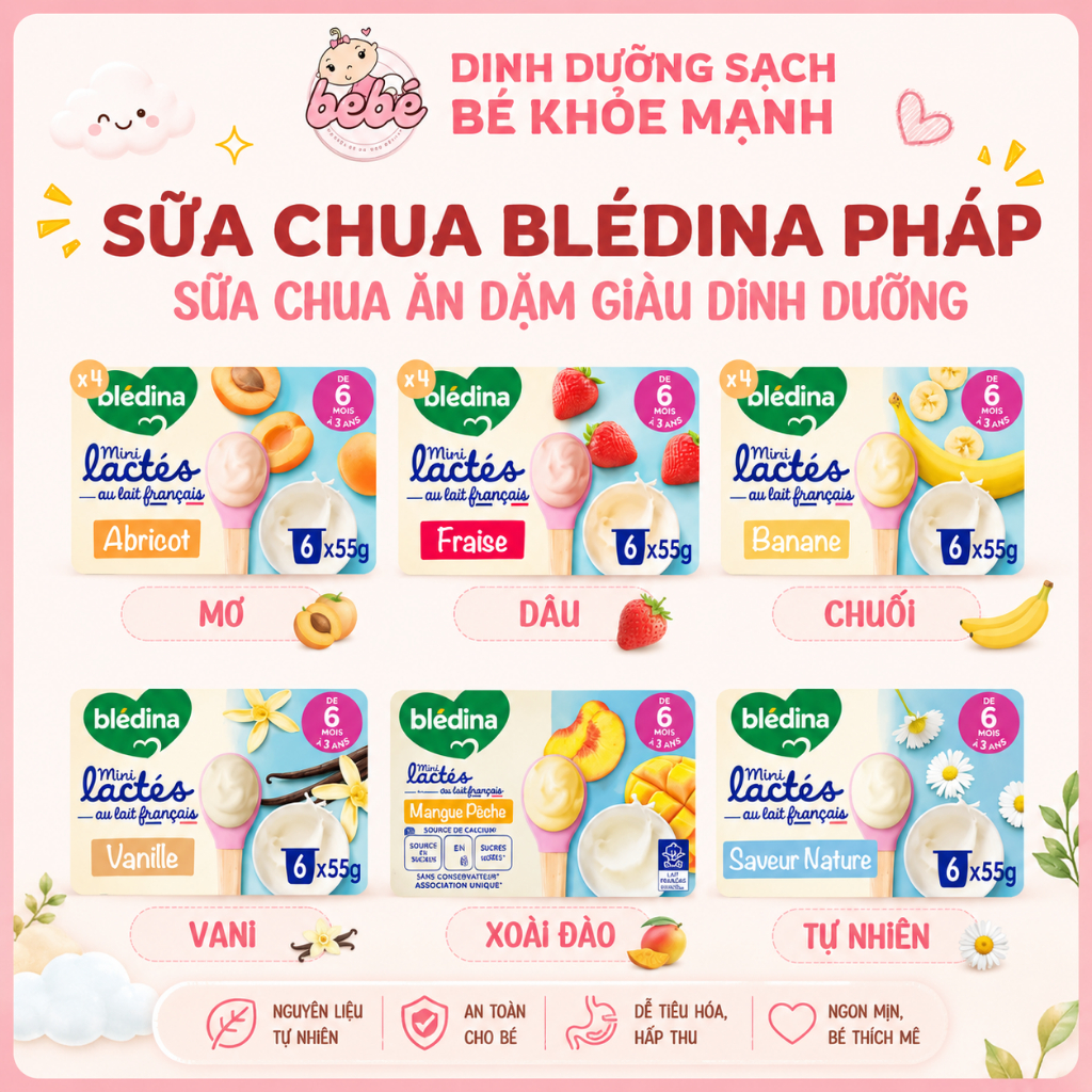 Sữa chua nguội Blédina Pháp cho bé ăn dặm từ 6 tháng bổ sung dưỡng chất toàn diện - 6 hộp x 55g