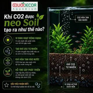 Phân Nền NEO Soil Gravel - Công Nghệ Tự Tạo CO2 Trong Nền - Giúp Cây Thuỷ Sinh Phát Triển Toàn Diện