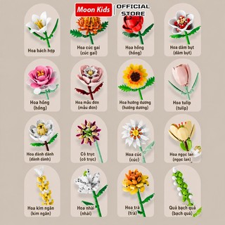 Set hoa lắp ráp 16 mẫu – Đồ chơi sáng tạo tự làm, quà tặng siêu xinh