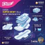 BĂNG VỆ SINH BAN ĐÊM DIANA SUPER NIGHT 35CM (GÓI 3 MIẾNG) – CHỐNG TRÀN TUYỆT ĐỐI