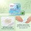 BVS DIANA SENSI COOL FRESH KHÔNG CÁNH (8 MIẾNG) – MÁT LẠNH DÀI LÂU & AN TOÀN TUYỆT ĐỐI