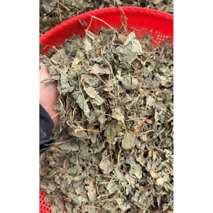 Diếp Cá Khô 1kg Nguyên Chất | Dược Liệu Khô Chọn Lọc | Thảo Dược Đạt Huyền