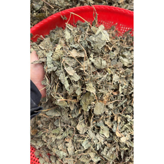 Diếp Cá Khô 1kg Nguyên Chất | Dược Liệu Khô Chọn Lọc | Thảo Dược Đạt Huyền