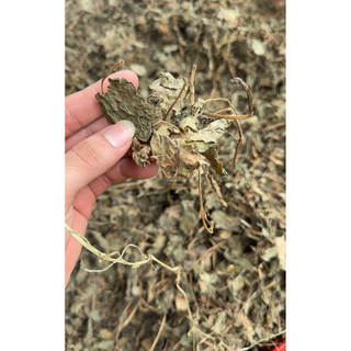 Diếp Cá Khô 1kg Nguyên Chất | Dược Liệu Khô Chọn Lọc | Thảo Dược Đạt Huyền