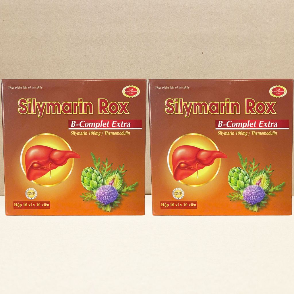 Combo 5 Hộp Silymarin Rox Nâu - Rostex - Vinaphar - Vitamin Chữa Lành