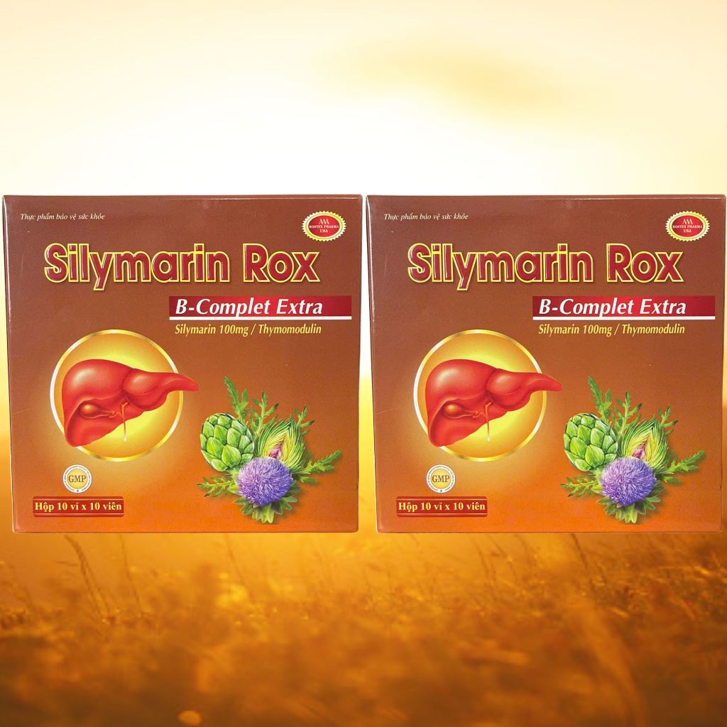 Silymarin Rox Nâu - Rostex - Vinaphar - Vitamin Thanh Lọc
