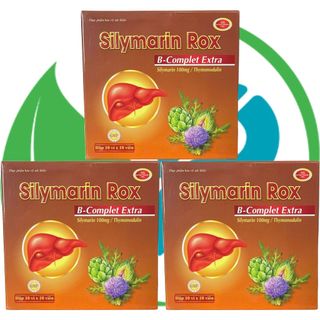 Silymarin Rox Nâu - Rostex - Vinaphar - Vitamin Phục Hồi