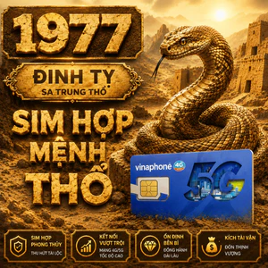 Sim Vinaphone hợp Năm Sinh 1977 Đinh Tỵ mệnh Sa Trung Thổ, Sim Chu Dịch Hợp Mệnh Hợp Tuổi