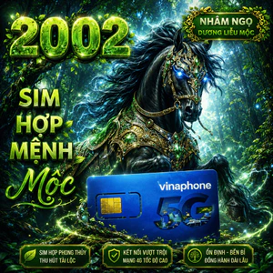 Sim Vina Phong Thủy Hợp Tuổi 2002 Nhâm Ngọ Mệnh Dương Liễu Mộc Tăng Sinh Khí Phát Triển Và Tài Lộc