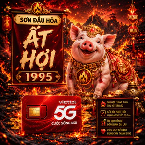 Sim Phong Thủy Hợp Tuổi 1995 Ất Hợi Mệnh Sơn Đầu Hỏa Giúp Tích Lũy Nội Lực Kích Tài Lộc Bền Vững