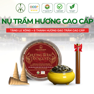 [OCOP 4 SAO - TẶNG LƯ XÔNG] Hộp 100 viên nụ trầm hương Tân Nguyên, thơm dịu, xông nhà, thanh lọc không khí, khử ẩm