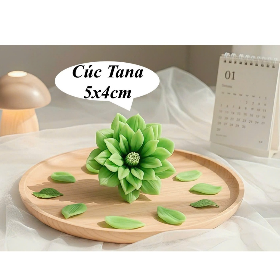 Khuôn silicon Hoa cúc Tana