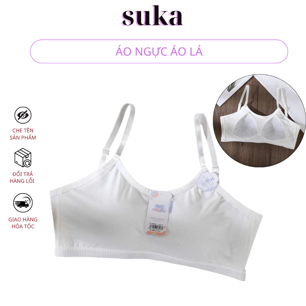Áo ngực cotton nữ dáng áo lá – Không gọng, thoáng khí 8064
