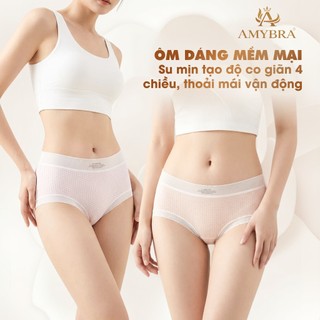 [ MẪU MỚI ] Quần Lót Nữ Su Tàng Hình Mát Mịn, Quần Chip Cạp Cao Đáy May Thoáng Khí AMYBRA L1398