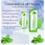 COMBO 2 Tuýp kem Xà Sàng Tử Pacify Nấm Sẻ, ngứa da đầu, vẩy nến,kháng khuẩn, kháng nấm, giảm ngứa