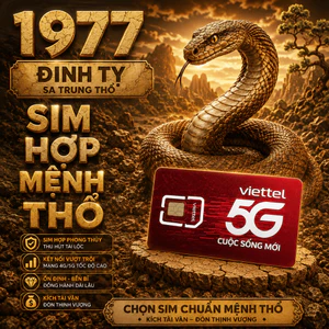 Sim Viettel hợp Năm Sinh 1977 Đinh Tỵ Sa Trung Thổ Sim Phong Thủy Hợp Mệnh Hợp Tuổi chính chủ
